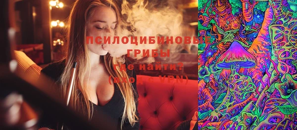 прущая мука Михайлов